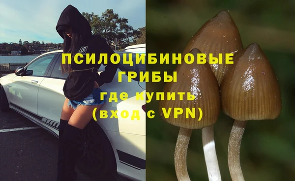 PSILOCYBIN Арсеньев