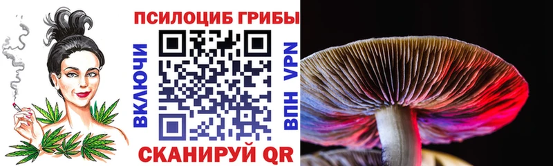 это формула  Ясный  Псилоцибиновые грибы прущие грибы  МЕГА ТОР 